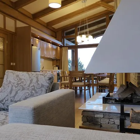 Pirin Nest Villa Bansko